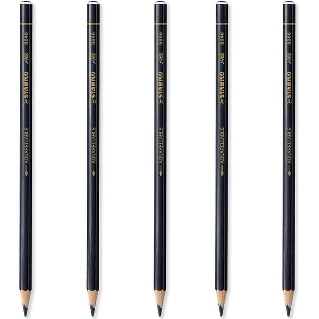 STABILO Crayon Effet Aquarelle Intégral - Noir - Lot de 5