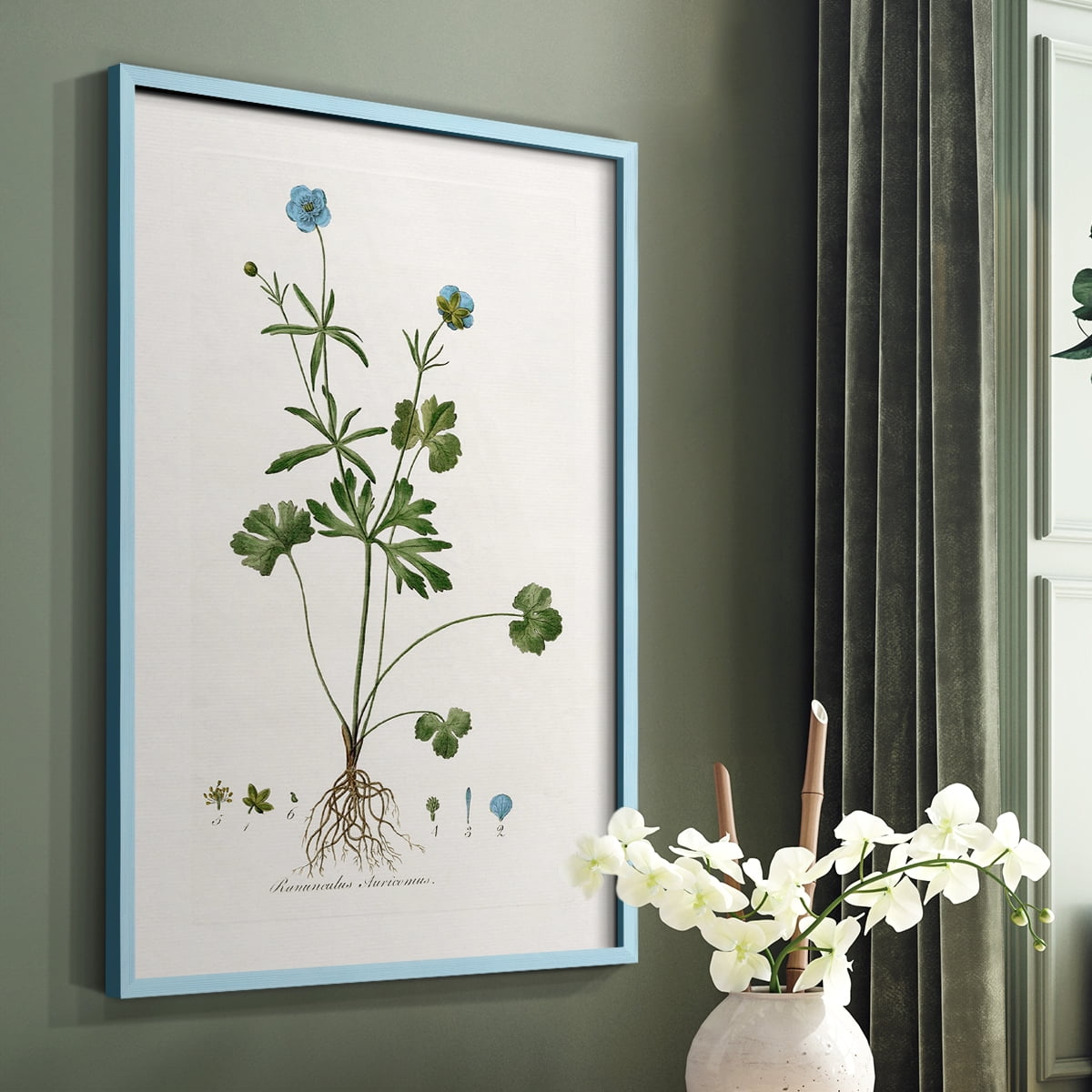Buttercup Study Framed Print in Blue Solid Wood Framed Print No Nail Hanging