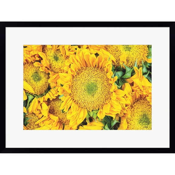 Great Art Now Sunflower Summer by Donnie Quillen, Framed Wall Art, 24W x 18H