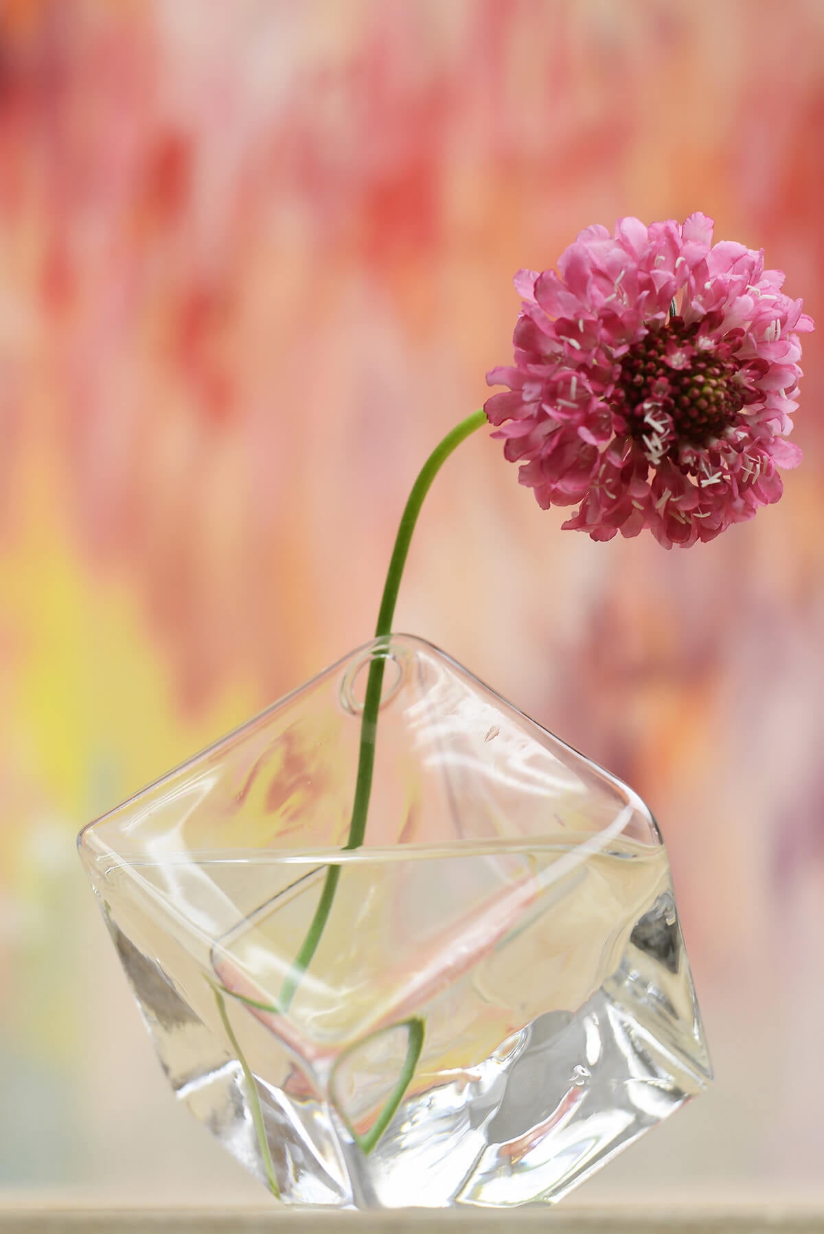 - Prismatic Elegance: Glass Cube Bud Vase