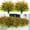 Red, variant on Bundles Artificial Plants Outdoor Faux Lavender Flowers Fake Monkey Grass UV Resistant Plastic Greenery Plants for Garden Home Porch Window Patio Hanging Planter Indoor Decor