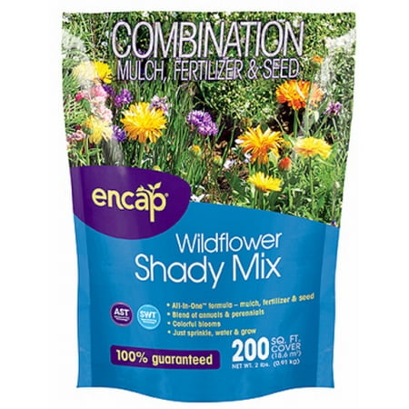 ENCAP LLC Wildflowers Mix, Shady, Covers 200 Sq. Ft. (Best Plants For Dry Shady Areas)