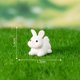 thumbnail image 4 of 5/10 piezas adorables de conejo en miniatura de resina: lindo adorno de jardín de hadas, micropaisaje, manualidades de decoración DIY, 4 of 5
