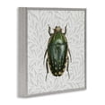 thumbnail image 4 of Stupell Industries Beetle with Botanical Pattern Animals & Insects Painting Gray Framed Art Print Wall Art, 12 x 12, 4 of 10