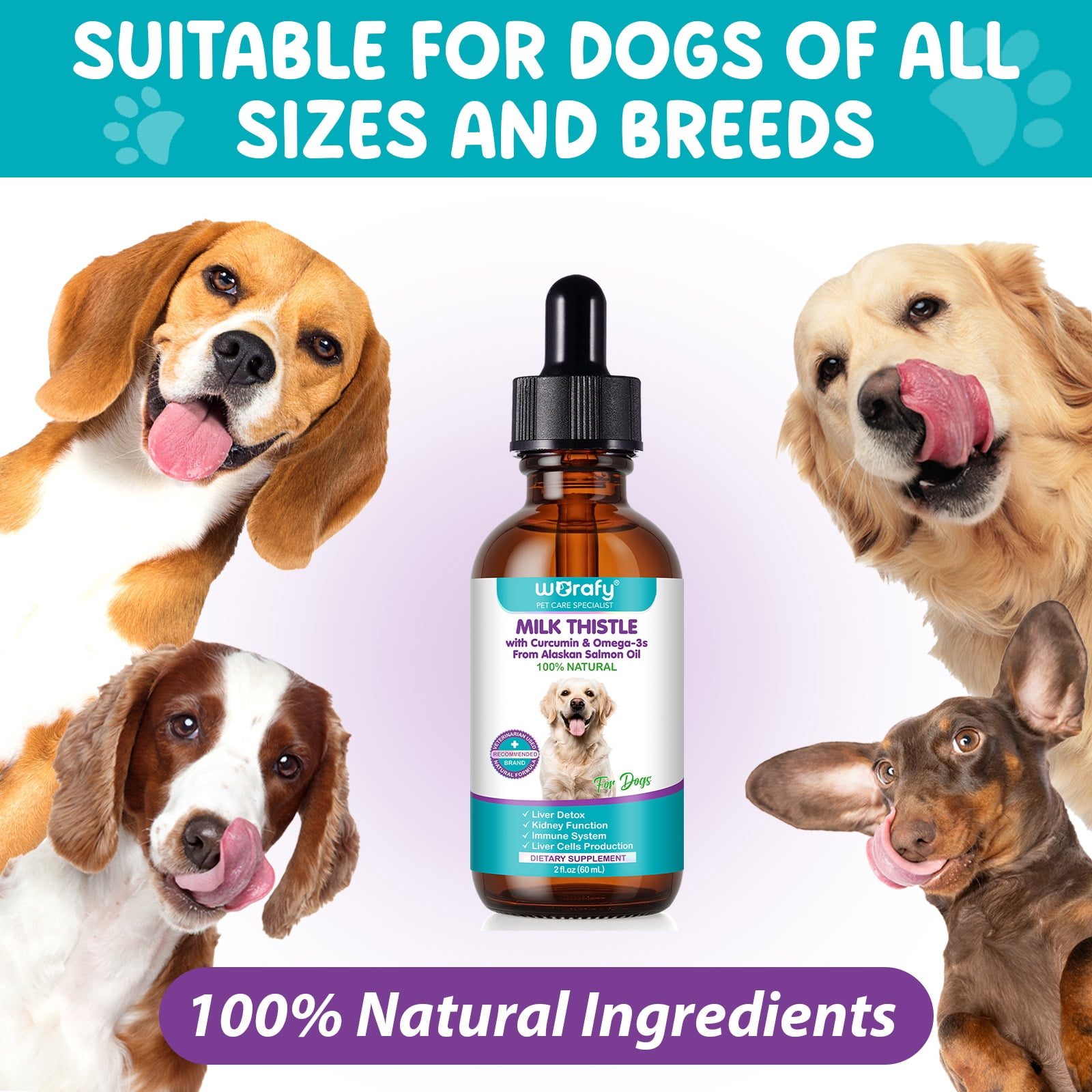 Petpya Milk Thistle for Dogs 3PC Organic Liver Support, Detox & Kidney with Antioxidants & Silymarins, Boost Immunity 60ML