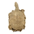 thumbnail image 1 of Estatua de tortuga de latón, escritorio, hogar, interior, exterior, decorativo, regalos coleccionables, artesanía, 1 of 5