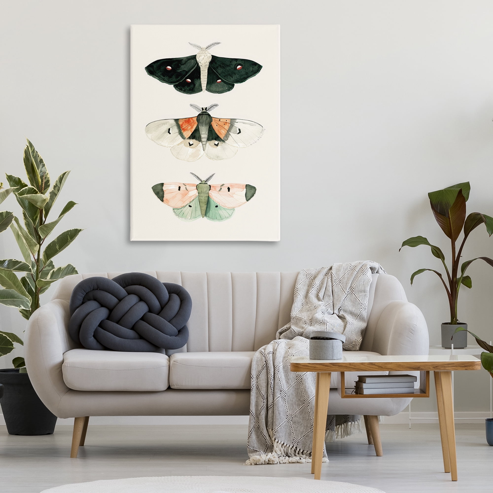 Stupell Industries Assorted Moth Trio Animals Painting Wrapped Canvas Art Print Wall Art, 30 x 45