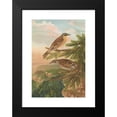 thumbnail image 2 of Johann Friedrich Naumann 14x18 Black Modern Framed Museum Art Print Titled - Accentor Modularis, Accentor Montanellus, 2 of 5