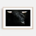 thumbnail image 2 of Shadowed Majesty - Scotland United Kingdom Photography Highland Cow Animal Wildlife Rustic Farmhouse Nature Rural Unframed Wall Art Print 4 x 6 inches, 2 of 7