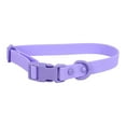 thumbnail image 2 of Collier Imperméable Réglable pour Chien avec Boucle Antirouille, Facile à Nettoyer, Confortable en PVC pour Animaux de Compagnie Adapté à l'Extérieur et à la Formation, 2 of 8