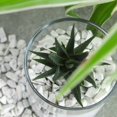 thumbnail image 4 of Aquarium Gravel Rocks YATOJUZI Howlite, 450 g, cristal batido, 4 of 6
