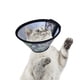 thumbnail image 5 of EeaseMX Precioso collar isabelino antimordeduras para mascotas, protector antiarañazos para perros, cachorros y gatos (Camuflaje n.° 7), 5 of 7