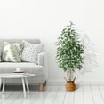 thumbnail image 4 of Potted 5FT Artificial Multi Trunk Eucalyptus Tree With Handmade Seagrass Basket for Office Daily Home Decor, 6 lb, DR.Planzen., 4 of 6
