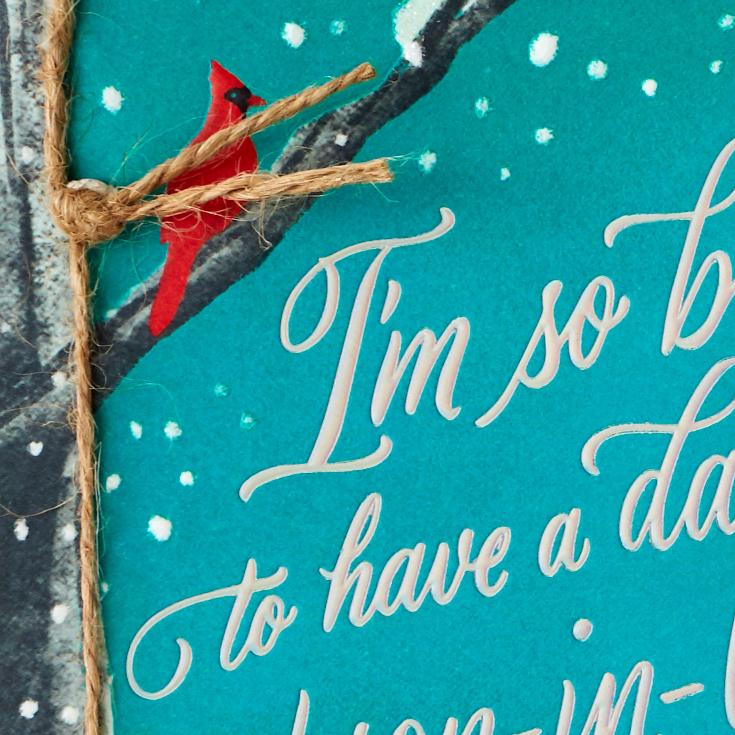 Hallmark Christmas Greeting Card for Daughter and Son-in-Law (I'm So Blessed to Have You)