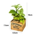 thumbnail image 2 of Planta en maceta carnosa del pote de madera cuadrado de Laklulu, bonsái artificial de la flor de la decoración de la planta, 2 of 5