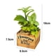 thumbnail image 2 of Maceta de madera cuadrada Laklulu, planta carnosa en maceta, decoración de plantas artificiales, flor bonsái, 2 of 5