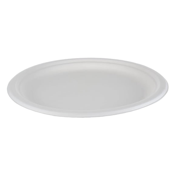 IECO 10-in Bagasse Plates 5 packs of 50