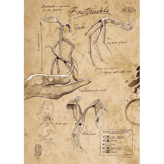 Fantastic Beasts And Where To Find Them (Bowtruckle Sketchbook) MightyPrint™ Wall Art MP17240292
