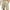 z-Khaki_#, variant on Njoeus Men's Linen Shorts, Casual Cotton Elastic Waist Shorts for Men Lightweight Summer Beach Short Pants with Pockets and Drawstring S-5XL (Available in Big & Tall Size)