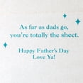 thumbnail image 3 of American Greetings Funny Father's Day Card for Dad, Photo-real Commode with Foil Accents, Includes Envelope, 3 of 6