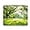 Xxl01-03 Park Tree Summer Sun, variant on Gaming Map Mouse Pad,Cusetom Small Mousepad with Designs,Non-Slip Rubber Base Gaming MousePads for Computers Laptop Office,9.5"x7.9"x0.12"(240mmx200mmx3mm),Succulent Plants