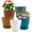 Multicolor, variant on FOUKUS 6 inch Plastic Plant Pots: 5 Pack Indoor Planters with Drainage and Tray Outdoor Flower Pots, Multicolor