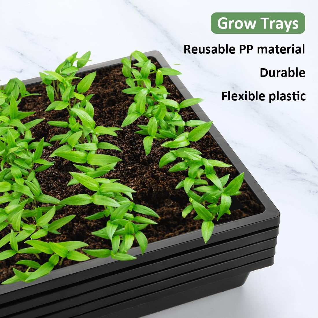 1020 Flat Seed Starter Trays 10 Pack, Plastic Nursery Pots Trays & Seeds Potting Plants Tray, Durable Carrying Seedling Starting Tray for Planting (Black)