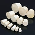 thumbnail image 3 of LOVIVER 5x Lab Solid Rubber Plug Stopper Bungs Tapered Tube Plugs 8#, 3 of 7