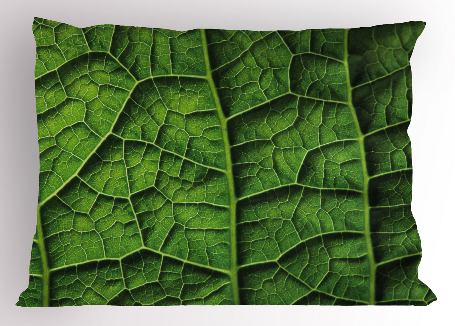 Green Pillow Sham Brazilian Rain Tropic Exotic Forest Tree Big Huge