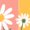 White2, variant on But God Floral Bow Christian Graphic Tees Womans Tshirt Shirts Black White S-5XL Tops