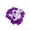 1Pcs, variant on HOARBOEG 1Pcs Halloween String Lights 4.9ft, 10 Purple LED Bulbs Battery Operated, Purple Transparent & Shaped Fairy Lights for Mantel Door Fence Pumpkin Halloween Decor