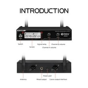 Wireless Microphone System D Debra Audio VM302 with Handheld Mic Have XLR Interface, 260 ft Range, for Home Karaoke Wedding Conference Speech