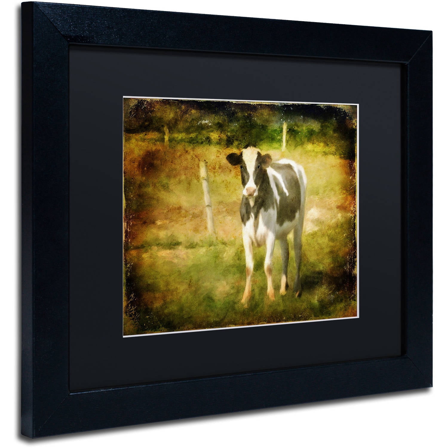 Trademark Fine Art "Handsome Holstein" Canvas Art by Lois Bryan Black Matte, Black Frame