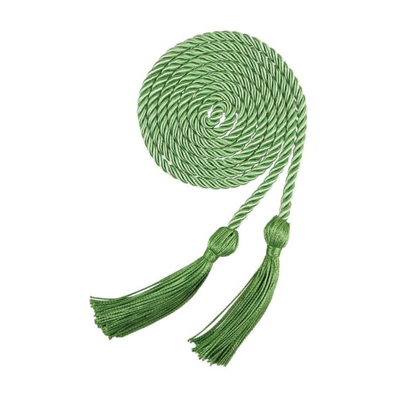 FASHOFT 2026 Graduation Cords 67 Inch Braided Honor Cord with Tassels for College Graduation Students Bachelor Master Doctor Grad Decor GN2 One Size