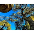 thumbnail image 3 of Tenoever, William 14x12 Black Modern Framed Museum Art Print Titled - Chiricahua 4, 3 of 5
