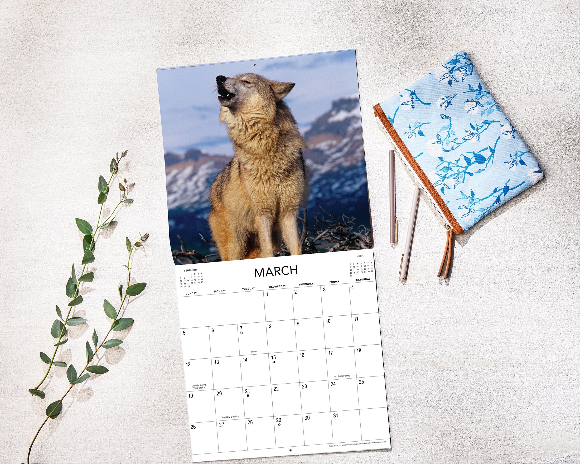 2023- 12 Month Calendar- Wolves 12x12 Hanging Wall Calendar by DaySpring