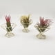 thumbnail image 4 of Soporte para plantas de piña Soporte geométrico para plantas de aire Soporte para esponjas en polvo - Oro rosa (Material: Metal, Tamaño: Diámetro 55 mm, Altura 45 mm), 4 of 5