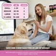 thumbnail image 3 of Pet Honesty Dog, 10 in 1 Multivitamin Mobility Immune Skin Coat Support Supplement w Glucosamine Probiotics and Omegas, Chicken Flavor, 90 Count Soft Chews, 3 of 10