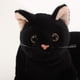 thumbnail image 4 of Figura realista de gato negro, peluche suave para niños, ideal como almohada decorativa para fiestas de cumpleaños o Halloween., 4 of 7