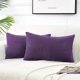 thumbnail image 1 of wonima44 Fancy Homi 2 Packs Purple Lumbar Decorative Throw Pillow Covers 12x20 Inch for Living Room Couch Bed, Farmhouse Boho Home Decor, Soft Striped Corduroy Rectangle Accent Cushion Case 30x50 cm, 1 of 1