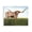 Southwestern Longhorns Cattle Pasture, variant on Stupell Industries Farmhouse Various Cattle Sunny Farmland Field Gold Floating Frame Canvas Art, 21 x 17, by Rita Kirkman