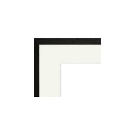 Silurus Parkeri Print Canvas 24x36 Walmart Com Walmart Com