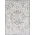 thumbnail image 3 of Mark&Day Area Rugs, 2x3 Clichy Traditional Medium Gray Area Rug, Grey Ivory Carpet for Living Room, Bedroom or Kitchen (2' x 3'), 3 of 8