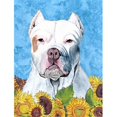 thumbnail image 1 of Carolines Treasures SC9077CHF Pit Bull Flag Canvas - House Size, 1 of 4