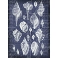 thumbnail image 2 of Robertson, Walter  24x32 Black Ornate Wood Framed with Double Matting Museum Art Print Titled - Shell Life 2, 2 of 4