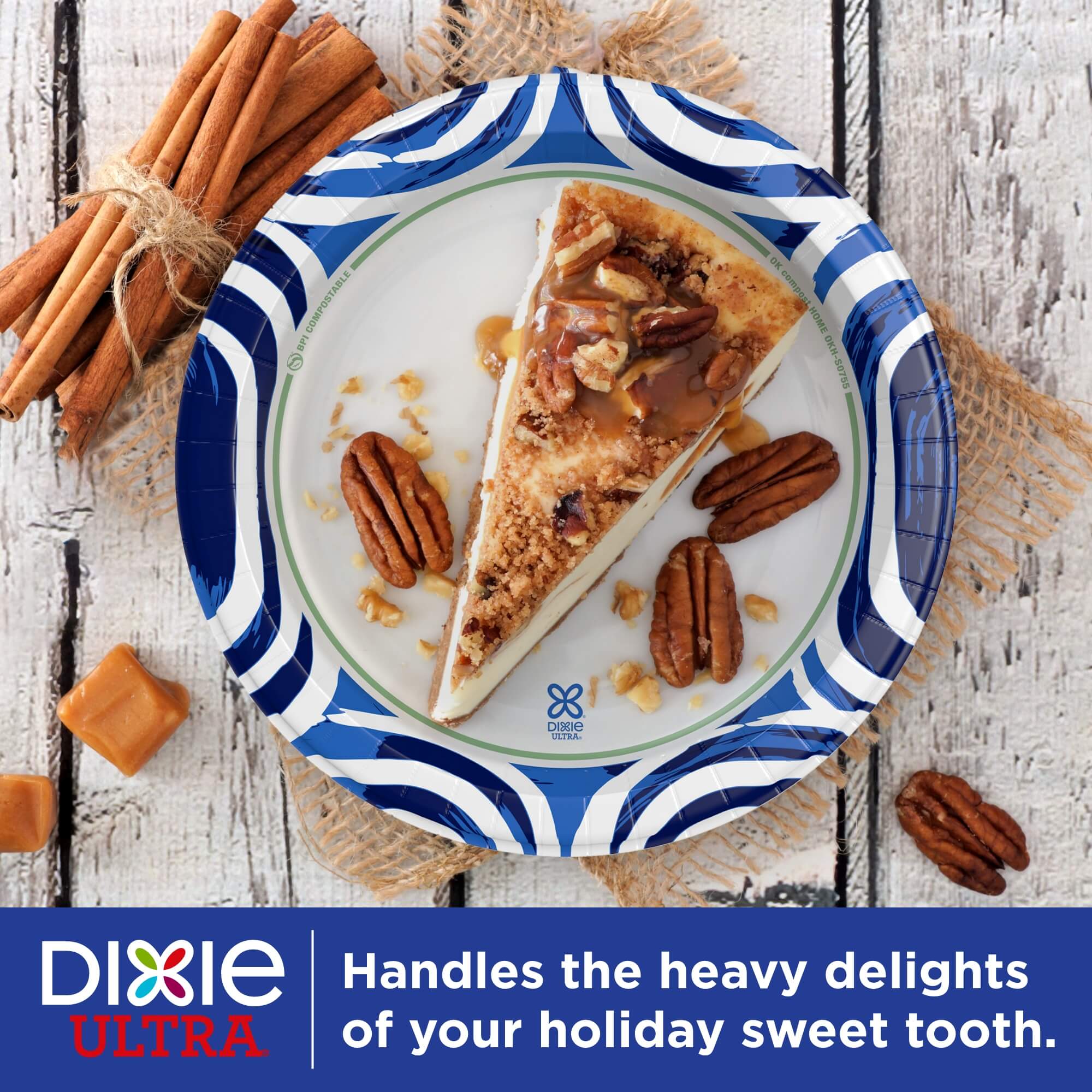 Dixie Ultra Disposable Paper Plates, 10", Multi-Color, 100 Count photo 3