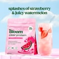 thumbnail image 2 of Bloom Nutrition Clear Protein, Strawberry Watermelon, 10 Servings, 2 of 6