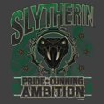 thumbnail image 2 of Mens Harry Potter Slytherin Pride and Ambition Sweatshirt, 2 of 4