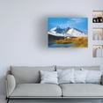 thumbnail image 3 of Ata Alishahi 'Winterfall' Canvas Art, 3 of 3