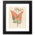 thumbnail image 2 of Clemenz Heinrich Wehdemann 15x18 Black Modern Framed Museum Art Print Titled - Erythrina, Nov. Spey (Erythrina Humeana) (1817), 2 of 5